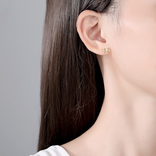 April Small Star Stud Earrings For Women