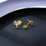 April Small Star Stud Earrings For Women