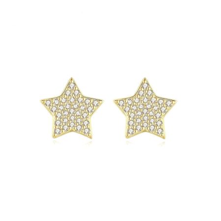 Hailey Small Star Stud Earrings For Women In Sterling Silver