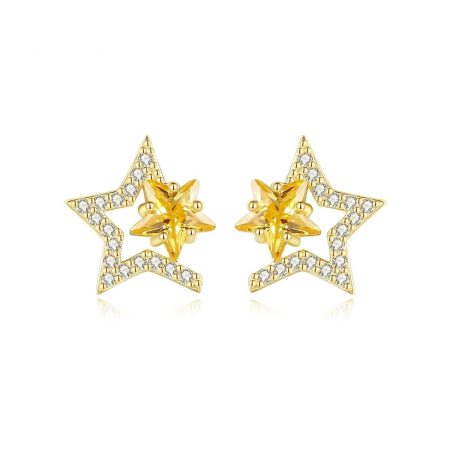 Sadie Small Star Stud Earrings For Women