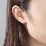 Stella Cubic Zirconia Sterling Silver Star Stud Earrings